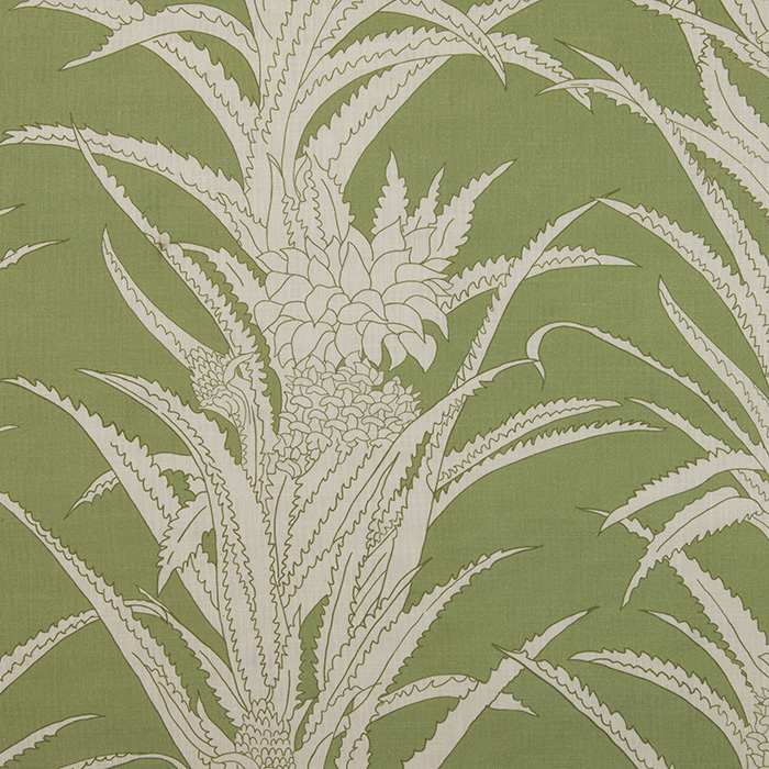 Coco Bay Celery 