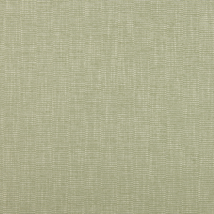 Tradewind Moss